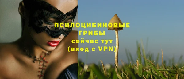 apvp Баксан