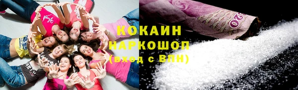 соль ск Переславль-Залесский